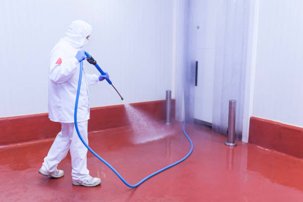 Best Post-Construction Pressure Washing  in Limon, CO